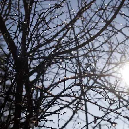 Le Harini Διαμέρισμα