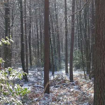 Le Harini Διαμέρισμα Manhay