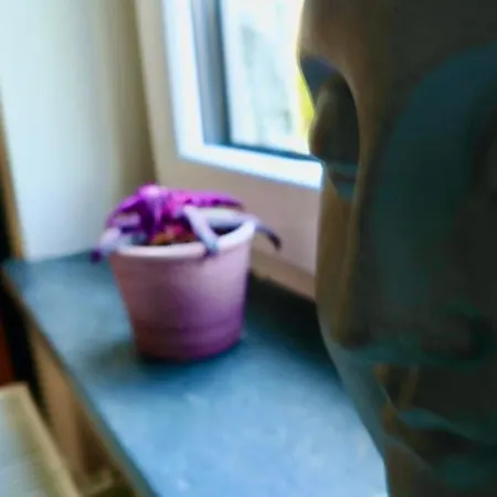 Le Harini Διαμέρισμα Manhay